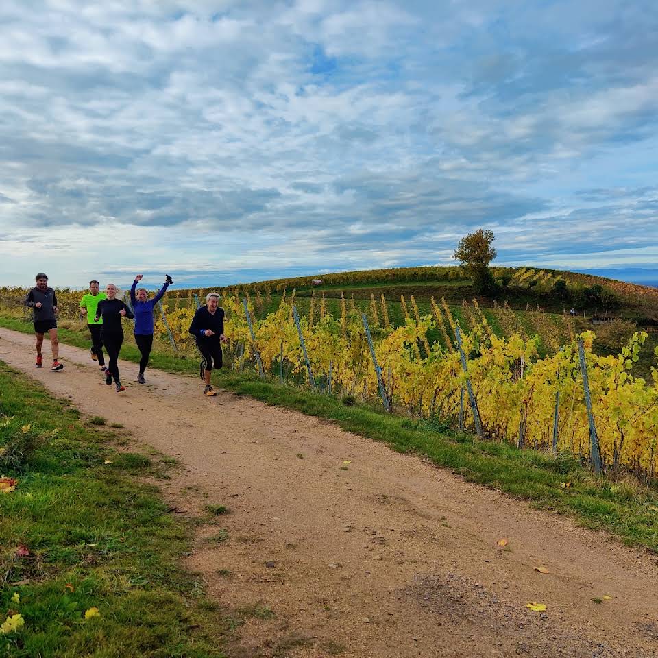 Mitglieder des Lauftreffs ETSV Offenburg beim Joggen in den Weinreben